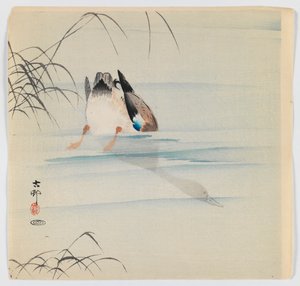 Canard plongeur, vers 1910 - Ohara Koson
